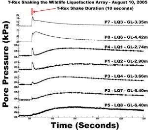 The pore pressure response that we see building up on the NEES permanent field site transducers as the "T-Rex" shakes the site. The top two traces are the permanent array sensors closest to the shaker, the others are further away and also in some cases deeper.